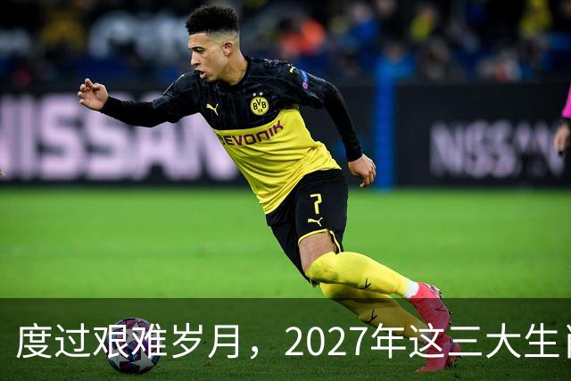 度过艰难岁月，2027年这三大生肖迎来财富与爱情的双重喜悦