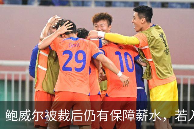 鲍威尔被裁后仍有保障薪水，若入队可增加收入